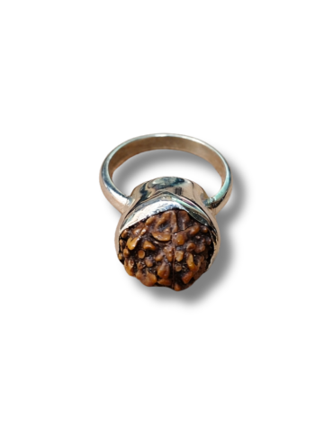 Rudraksha Rings 