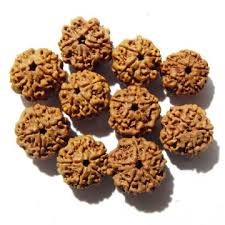 5 Mukhi Rudraksha Savar (Nepali)