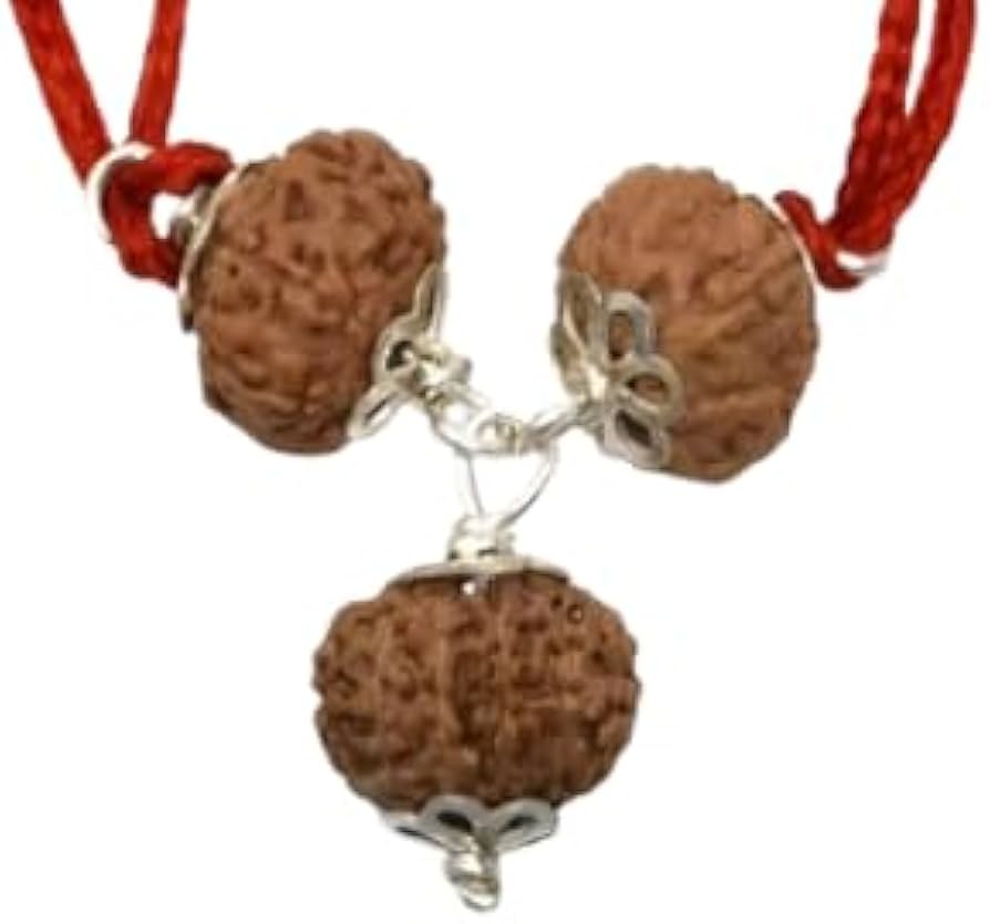  Rudraksha Kavach Combination